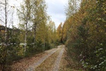 Sweden, Zweden, Ragunda, Reva mountain, Bispgården, Meåfallet, Lugnåfallet